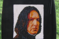 b-hp-20-Snape-bag